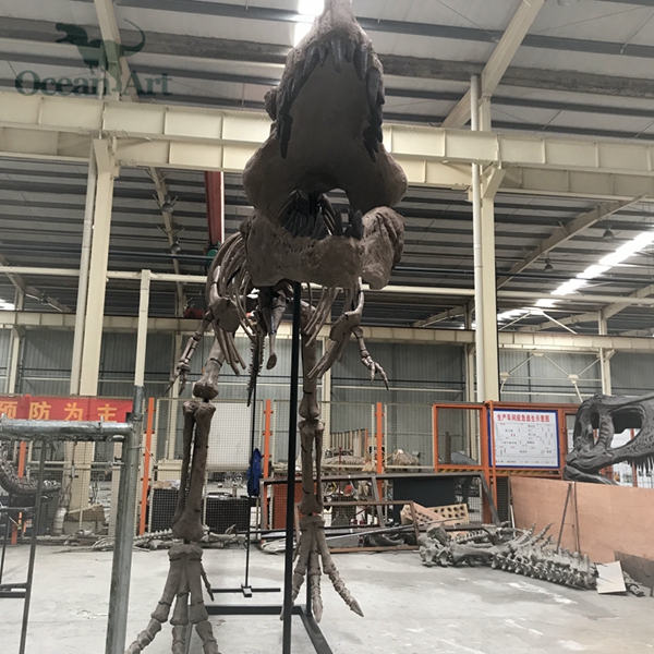 仿真恐龍骨架，恐龍化石骨骼