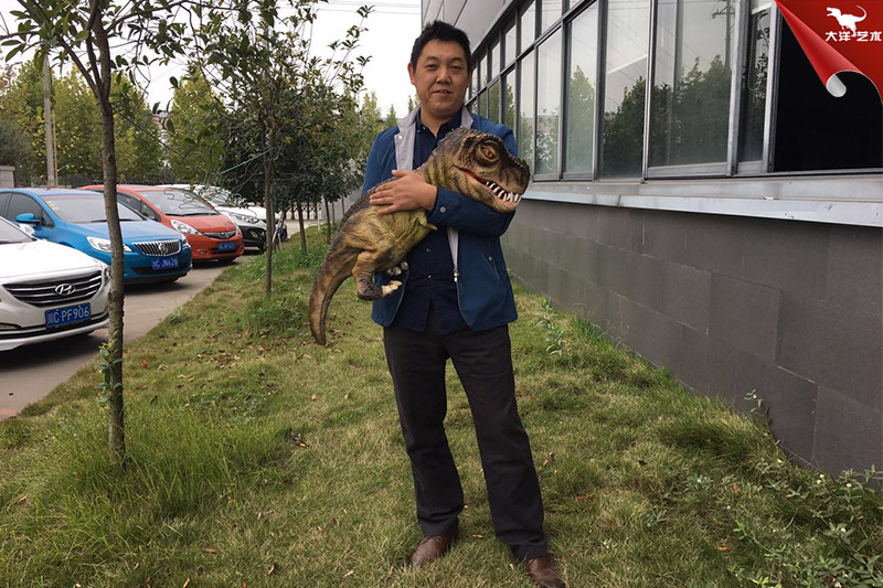 恐龍手偶，抱在手里的恐龍